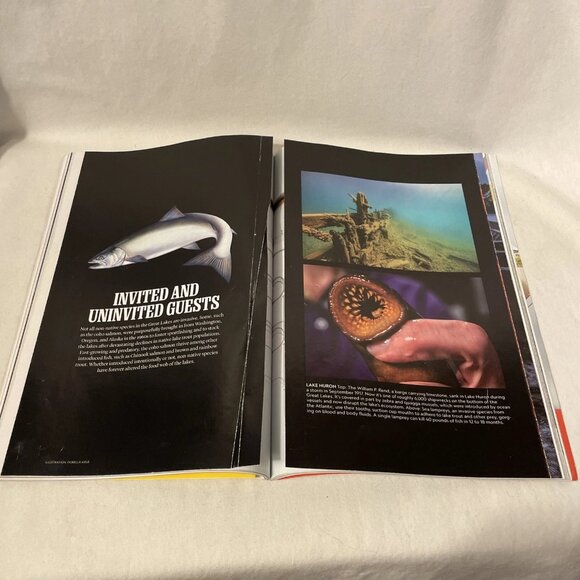 National Geographic December 2020 Saving The Great Lakes Language Of Lullabies - Picture 11 of 12